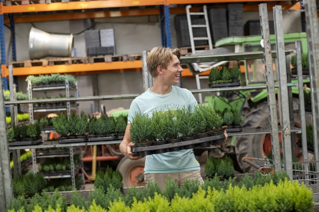 Jonge man tilt een tray met planten in een kwekerij tijdens zijn stage